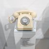 Period Telephone at Queer Britain (square)